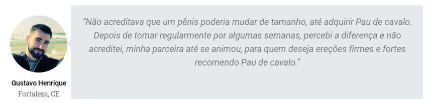 Pau de Cavalo